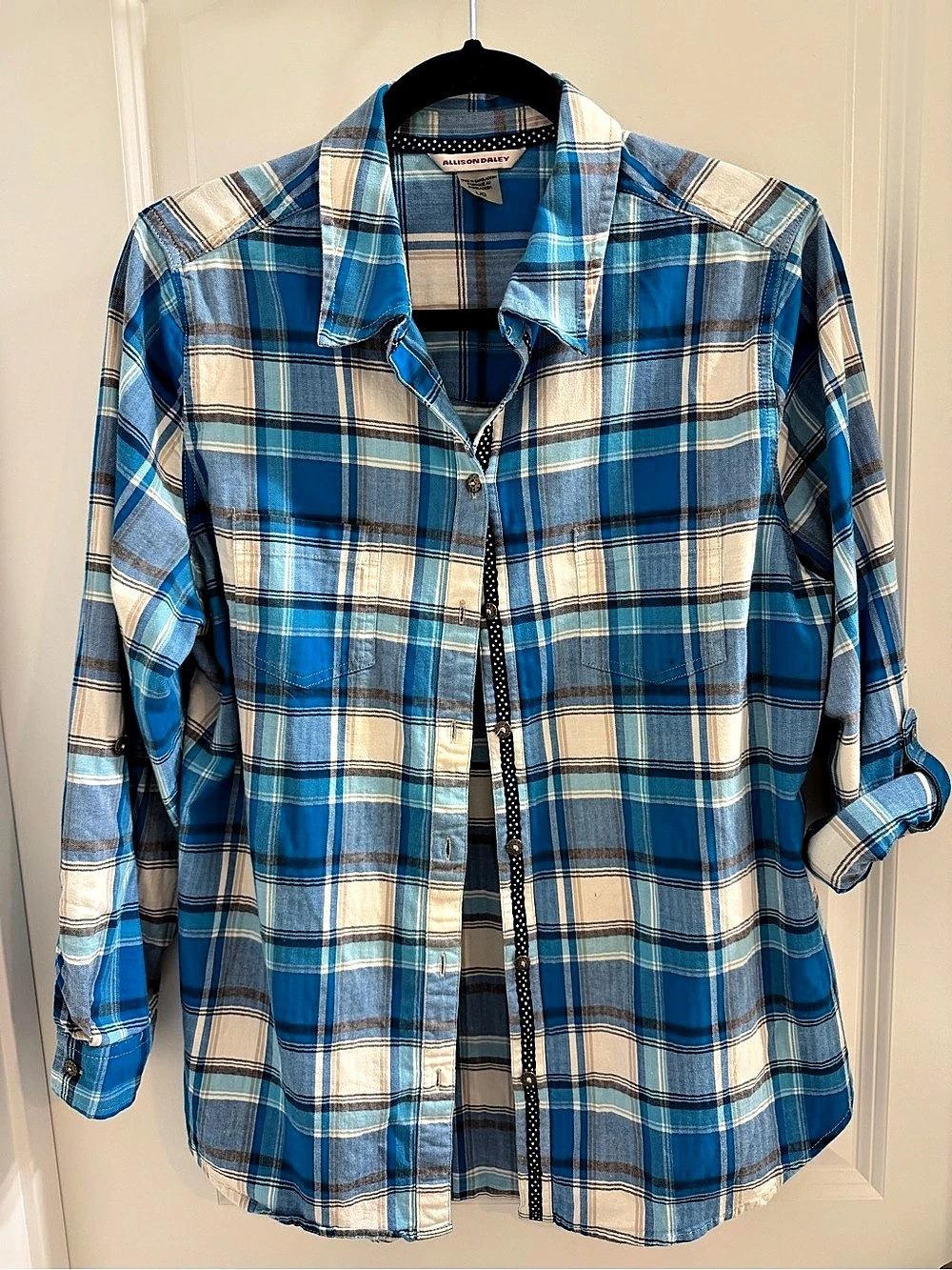 Allison Daley Plaid Button Down in Blue & White Large